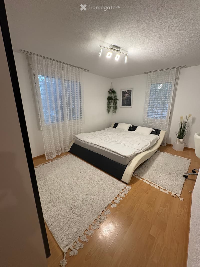 Modern bedroom with a large bed, white bedding, wooden flooring, white rugs, sheer curtains, and a small potted plant on the floor.