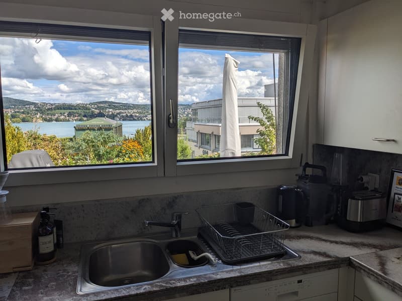 Modern kitchen with a double sink, dish rack, and various appliances including a toaster, coffee maker, and blender. Large windows offer a scenic view of a lake and surrounding landscape.