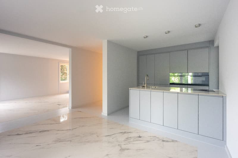 Modern kitchen with grey cabinets, marble countertops, and a sleek sink area. The space features a polished marble floor and recessed lighting.