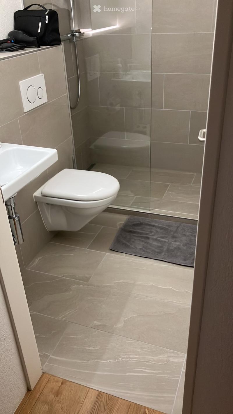 Modern bathroom with a toilet, sink, glass-enclosed shower, and a grey bathroom rug on the floor.