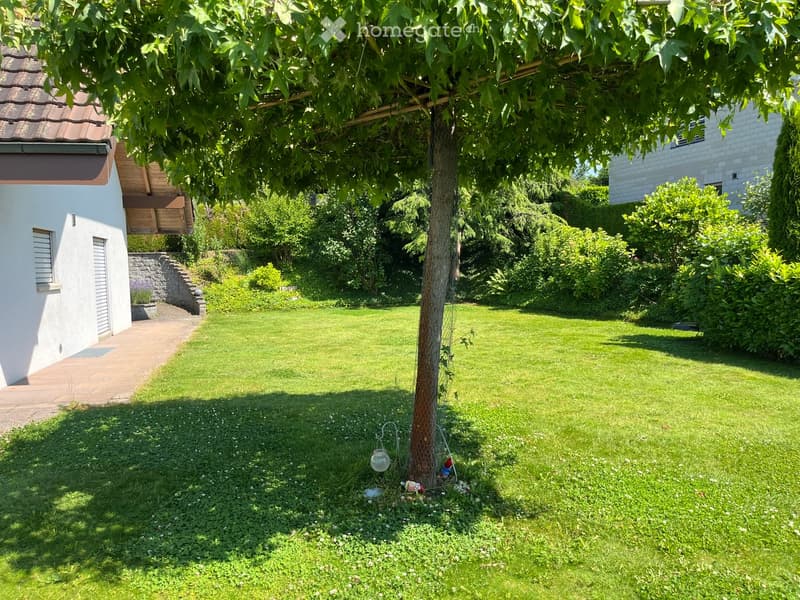 Garden / Outdoor Area. Well-maintained garden with a large tree, neatly trimmed grass, a paved pathway, and surrounding greenery.