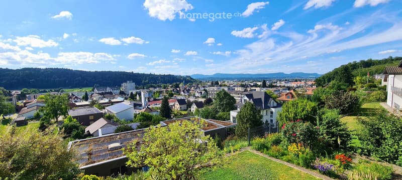 Garden / Outdoor Area. Panoramic view of a town with houses, greenery, and distant mountains under a clear blue sky.