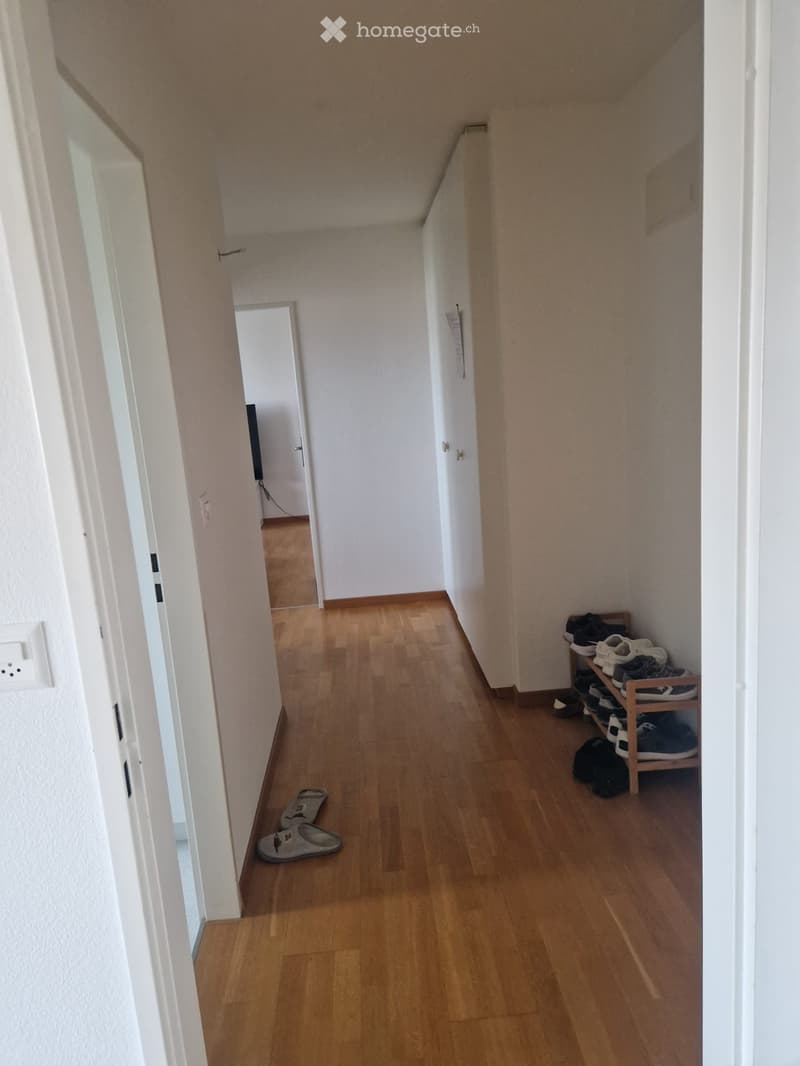 A narrow hallway with wooden flooring, light-colored walls, and a shoe rack holding multiple pairs of shoes and slippers. The hallway leads to another room with a visible door frame and light switch.
