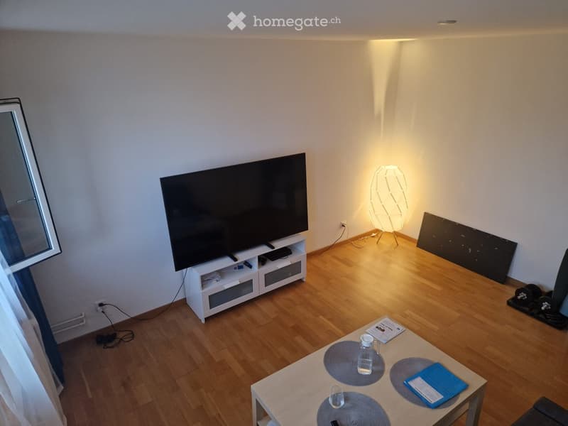 Living room with wooden floor, TV on stand, table with items, and a decorative lamp.
