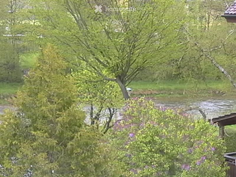 A serene garden area with a river running through it, surrounded by lush green trees and flowering bushes.