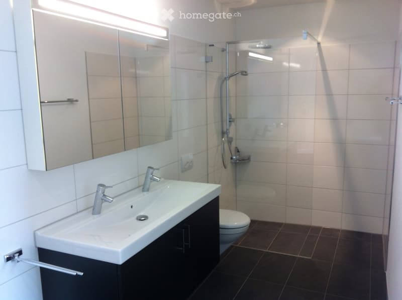 Modern bathroom with a white sink, chrome faucets, a large mirror, a toilet, and a glass-enclosed shower with a handheld showerhead.