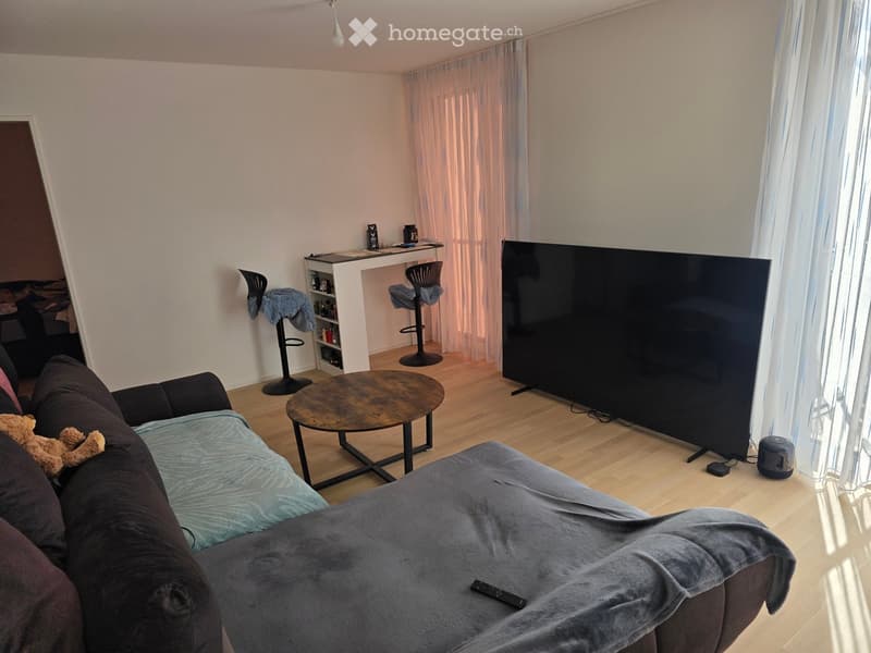 Nachmieter gesucht per 01.01.2027 Dietikon (2)