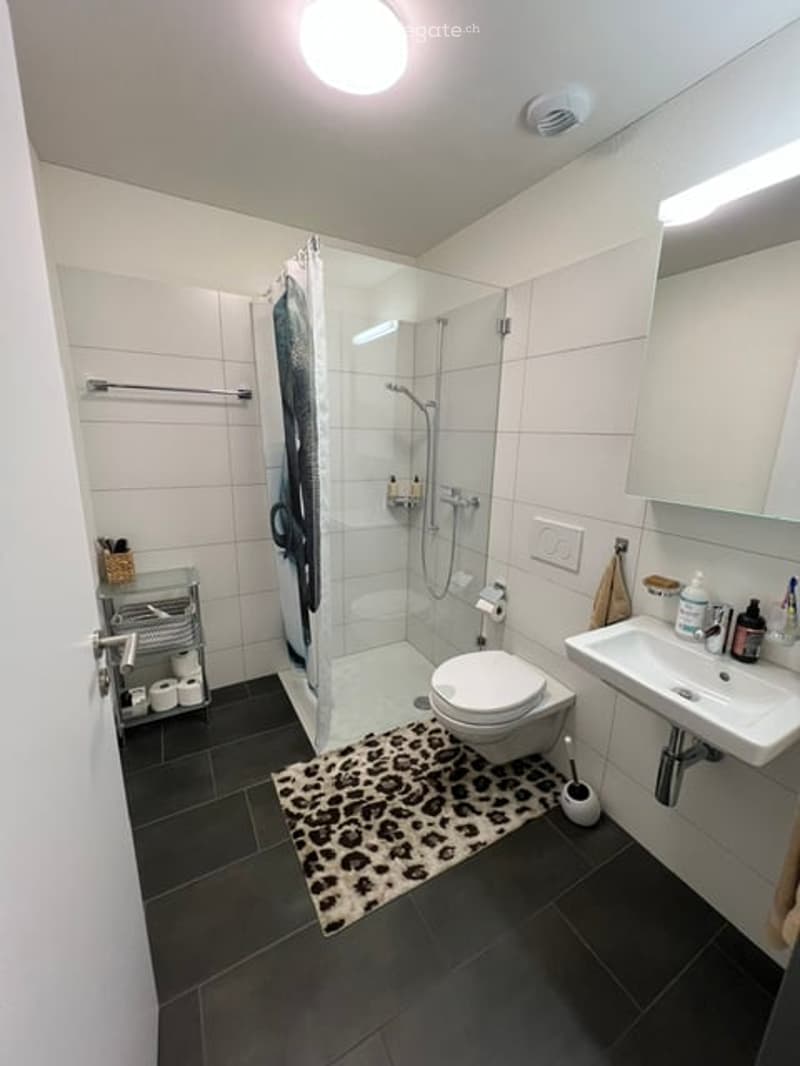 Modern bathroom with white tiles, a glass-enclosed shower, a toilet, a sink with a mirror, and a leopard-print rug on the floor.