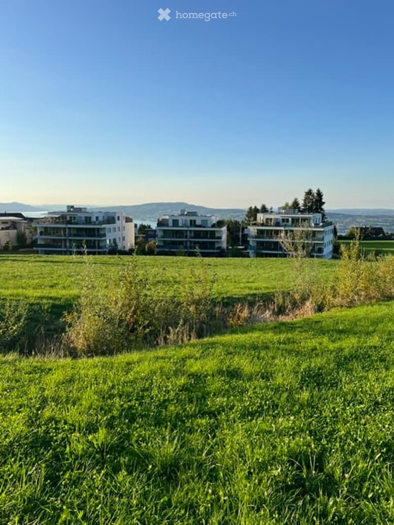 A wide, open green field with several modern apartment buildings in the background, under a clear blue sky.