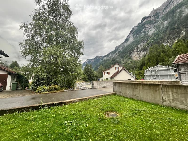 A grassy area with a paved driveway, a few houses, and a large mountain in the background.
