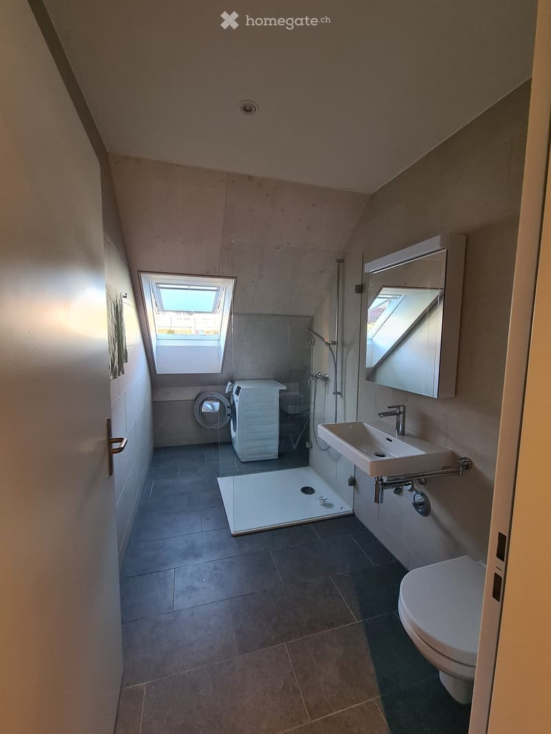 Modern bathroom with a sink, mirror, toilet, shower, and washing machine. Features a skylight window and sleek, contemporary design.