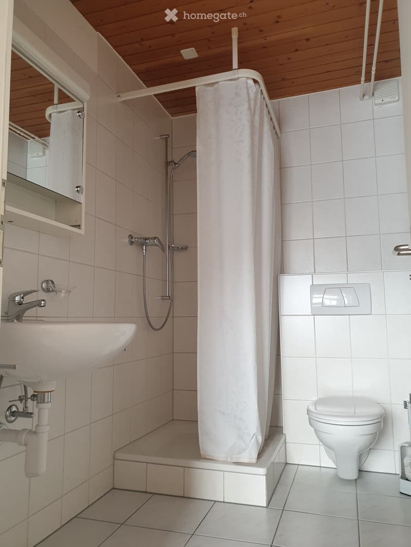 Modern bathroom with white tiles, a sink, a toilet, and a shower area with a curtain. The ceiling has wooden paneling.