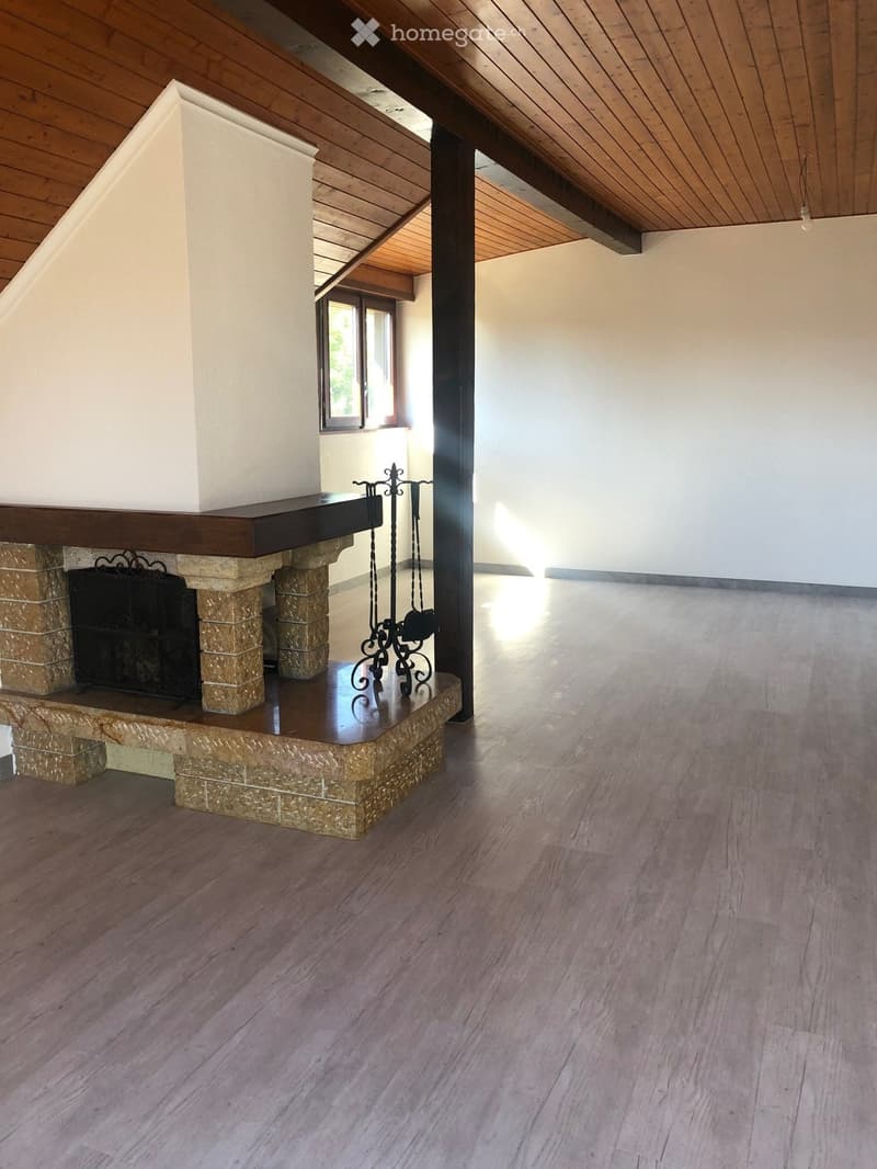 Empty room with wooden flooring, white walls, and a stone fireplace with a black metal grate. The ceiling has exposed wooden beams and a skylight window allowing natural light.
