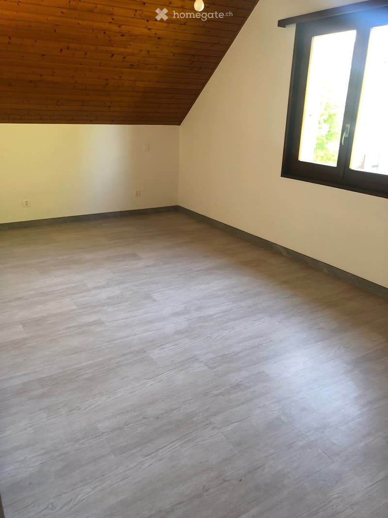 Empty room with wooden flooring, light-colored walls, and a large window letting in natural light. The ceiling has wooden paneling and a skylight.