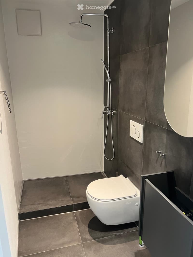 Modern bathroom with a toilet, showerhead, and cabinet. The walls are tiled in a combination of light and dark tones, and the floor is tiled in a neutral color.
