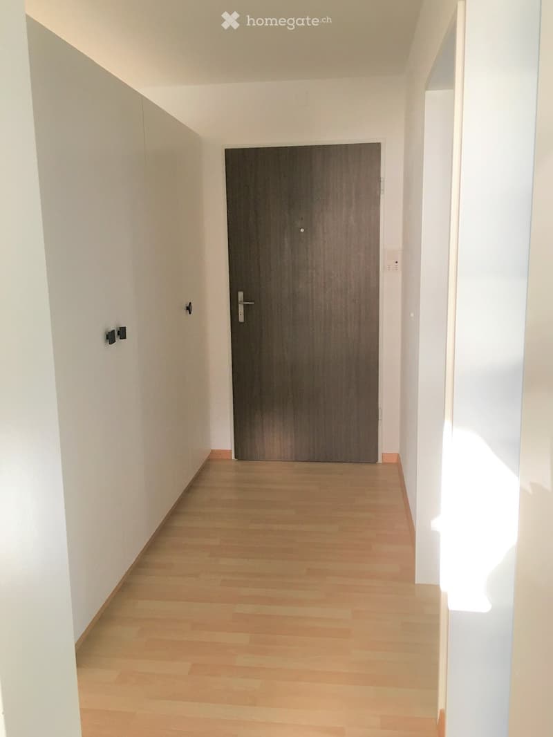 Empty hallway with light wooden flooring, white walls, and a single dark wooden door at the end.