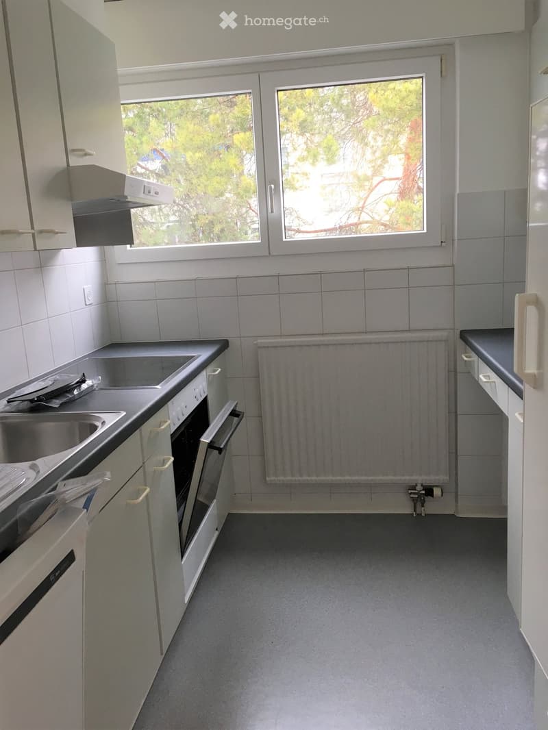 Modern kitchen with white cabinets, stainless steel sink, oven, dishwasher, and radiator. Large window with view of trees.