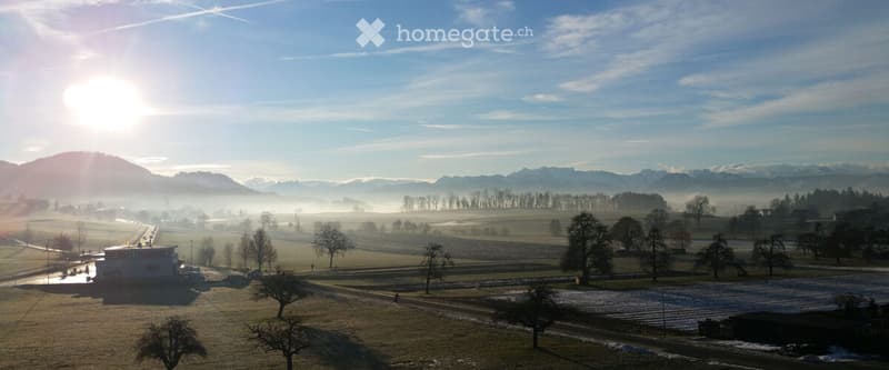 A serene rural landscape with fields, scattered trees, a road, and distant mountains under a clear blue sky with the sun shining brightly.