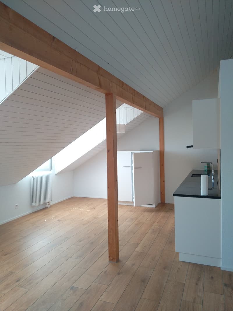Bright, airy attic space with wooden floors, exposed wooden beams, and skylights. Features a small kitchen area with a sink and faucet, a radiator, and a door leading to another room.