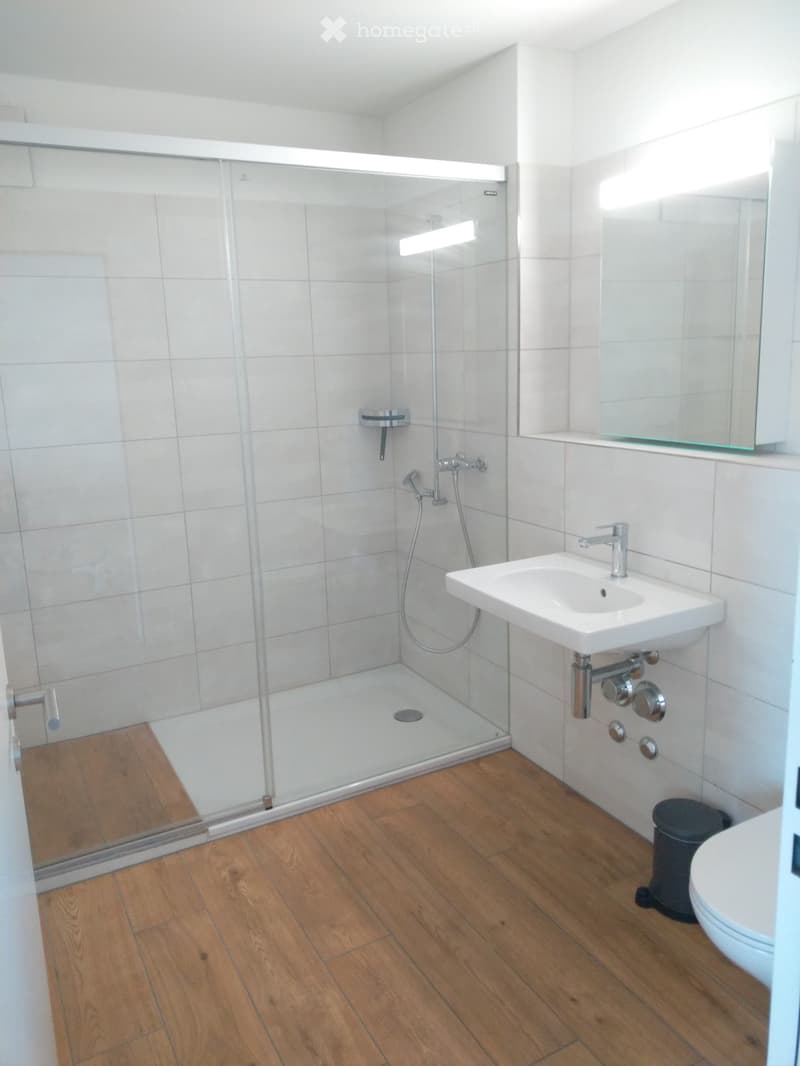 Modern bathroom with wooden flooring, a glass-enclosed shower, a white sink with a chrome faucet, a mirror, and a toilet.