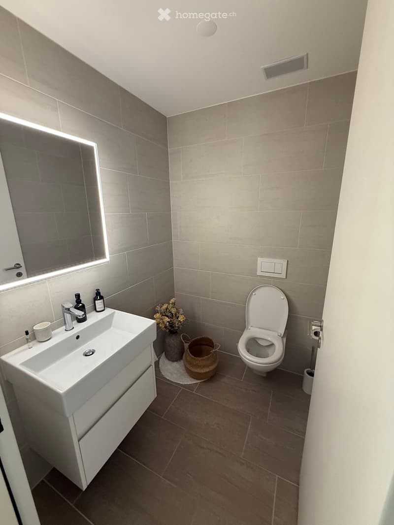 Modern bathroom with a white sink, chrome faucet, toilet, and a decorative wicker basket with flowers on a small rug.