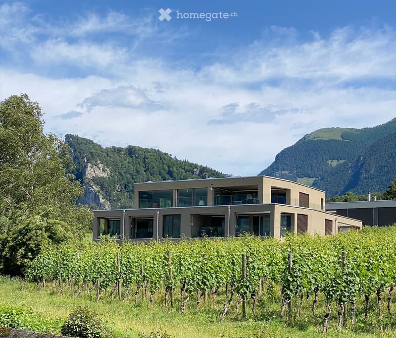 Modern two-story house with large windows and a balcony, surrounded by vineyards and mountains.