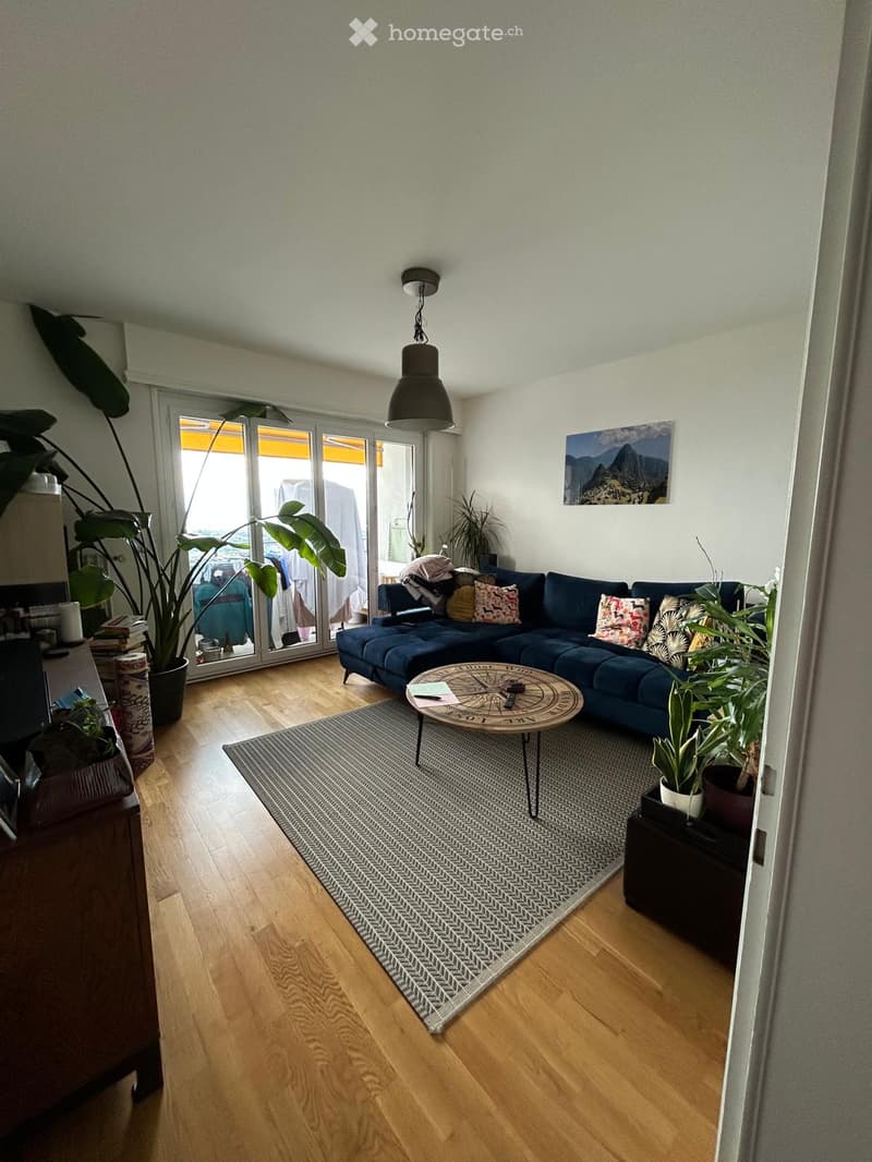 Modern living room with wooden flooring, a blue sectional sofa, a round coffee table, a patterned rug, and several potted plants. Large windows with yellow blinds allow natural light to enter.