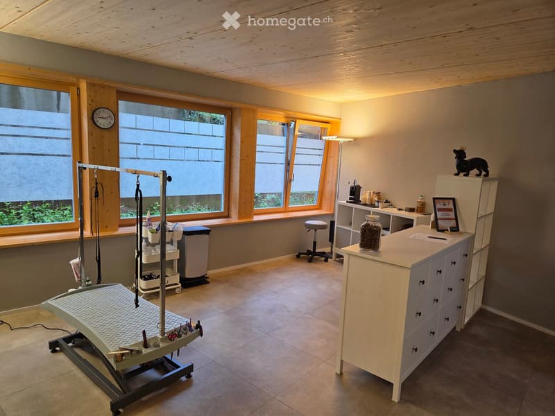 Well-lit room with wooden ceiling, large windows, tiled floor, and various equipment including a table, stool, cabinet, and a framed picture on top.