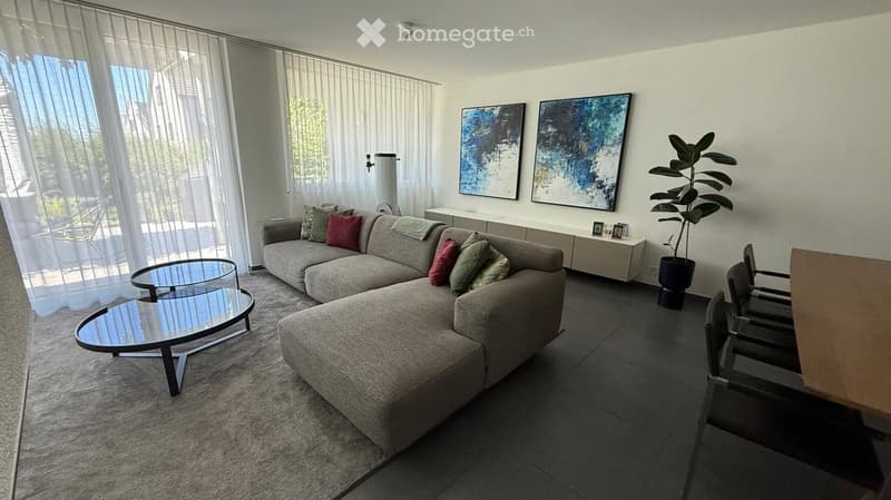 Modern living room with a grey sectional sofa, colorful throw pillows, a round glass coffee table, a potted plant, and two picture frames on the wall.