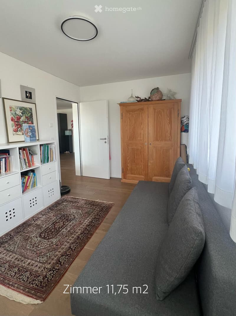 Living room with a grey sofa, wooden cabinet, bookshelf, patterned rug, and picture frame on the wall.