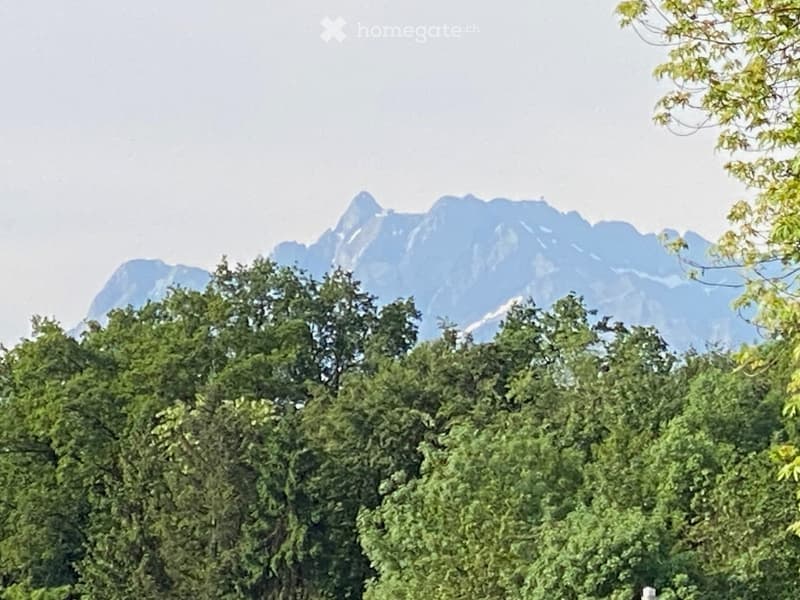 A lush green garden with dense foliage in the foreground and a mountain range visible in the background under a cloudy sky.