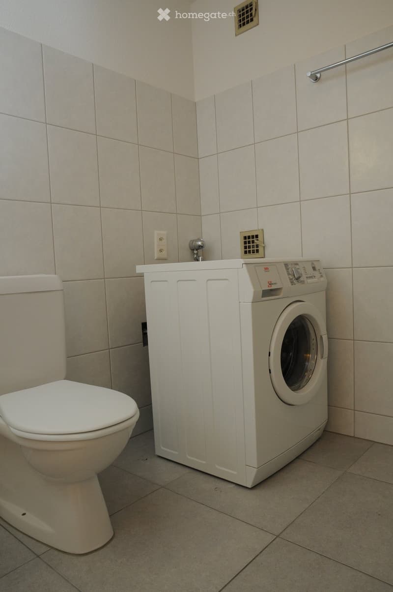 Bathroom with a toilet and a washing machine, tiled walls and floor, and a small sink area.