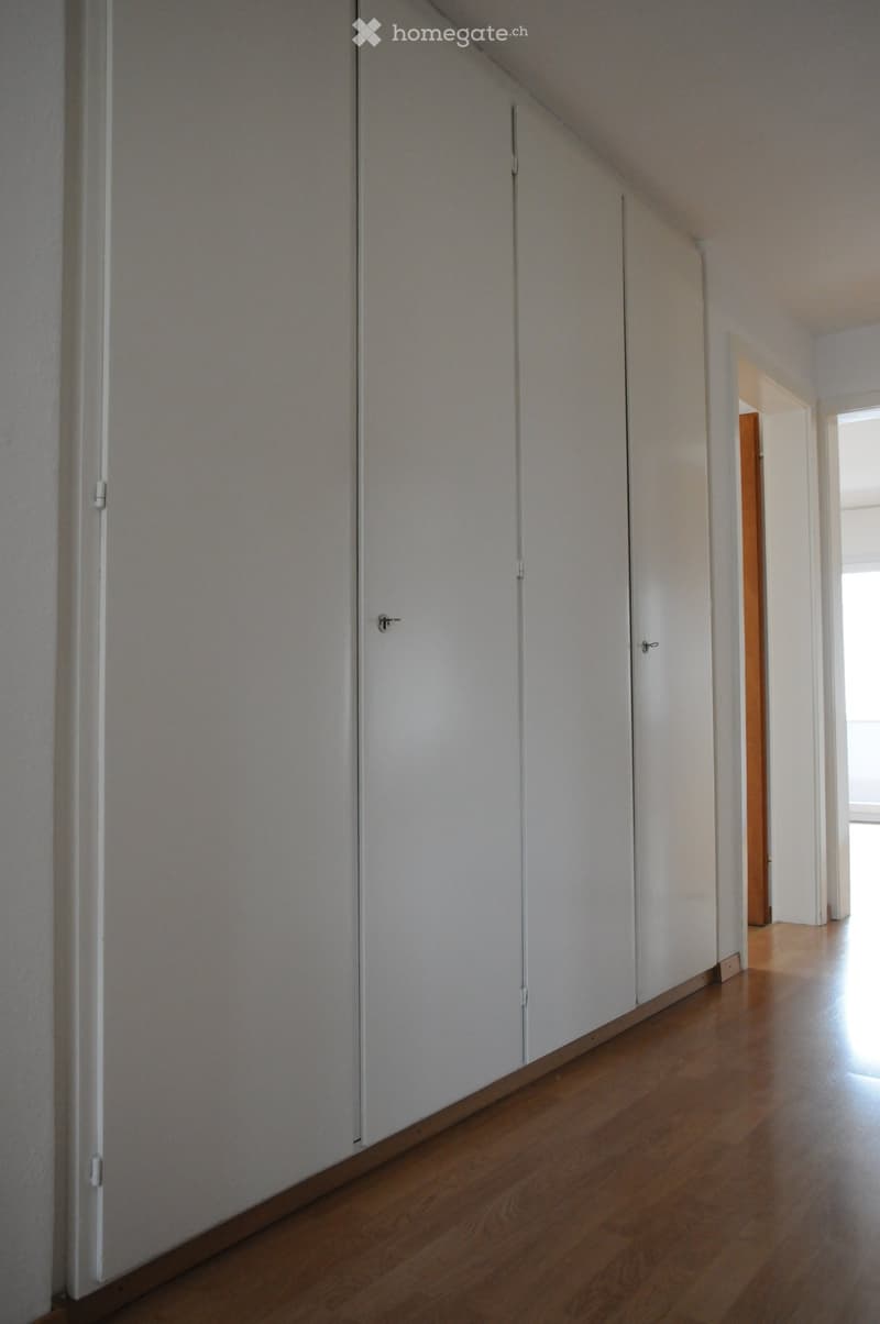 Empty hallway with white walls, wooden floor, and several closed white doors.