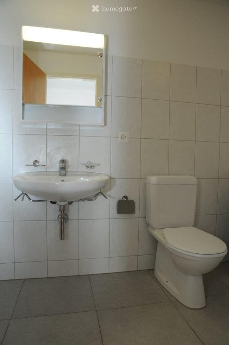 Modern bathroom with white tiles, a white sink, a toilet, and a large mirror above the sink.
