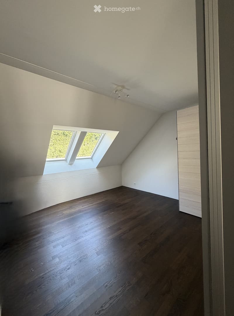 Empty attic room with wooden flooring, white walls, and a skylight window letting in natural light.