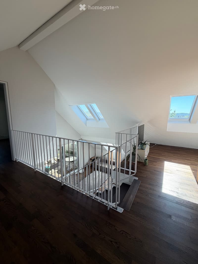 Bright, open hallway with wooden flooring, white walls, and skylights, featuring a modern metal railing and a small plant on a side table.
