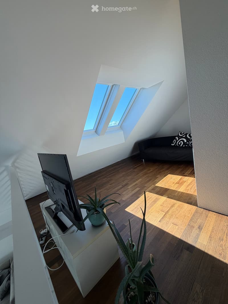 A modern, well-lit attic room with wooden flooring, a large skylight window, a sofa, a screen on a table, and potted plants.