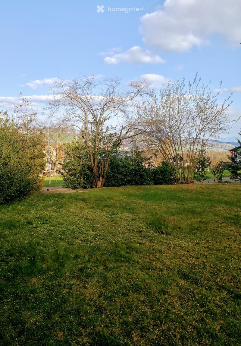 A grassy garden area with trees and shrubs, featuring a clear blue sky and distant cityscape.
