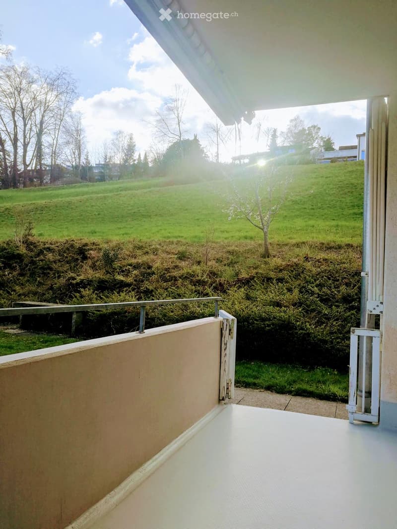 Balcony with white floor, beige wall, metal railing, overlooking a green lawn and trees.