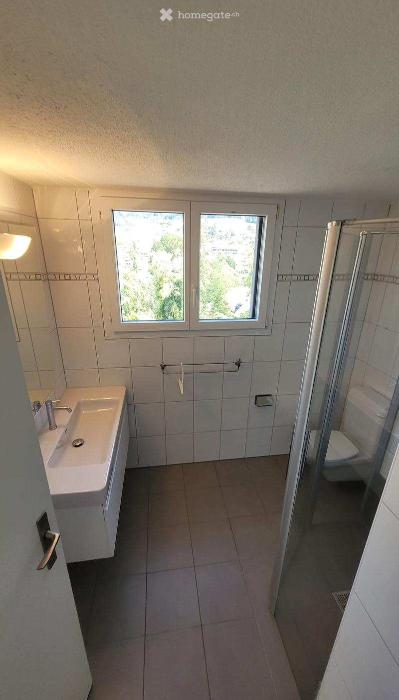 Attikawohnung in Baden (5)