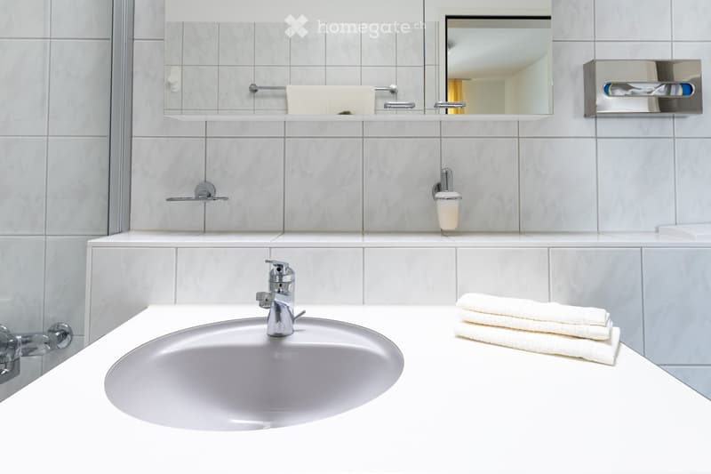 Modern bathroom with a white sink, chrome faucet, mirror, neatly folded towels, and a soap dispenser.