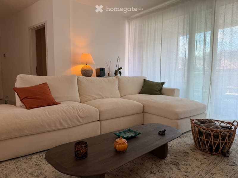 Appartamento 4.5 spazioso e arredato (1)