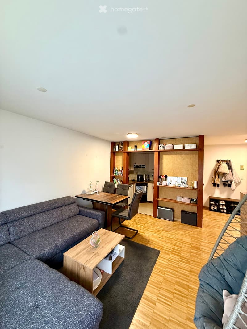 A modern, open-concept living and dining area with a grey sofa, wooden coffee table, wicker hanging chair, dining table with chairs, and a small kitchen area with cabinets and shelves.