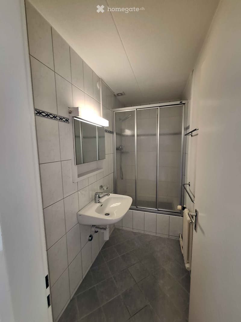 Modern bathroom with a white sink, mirror, and glass-enclosed shower. The walls are tiled, and the floor is made of dark tiles.
