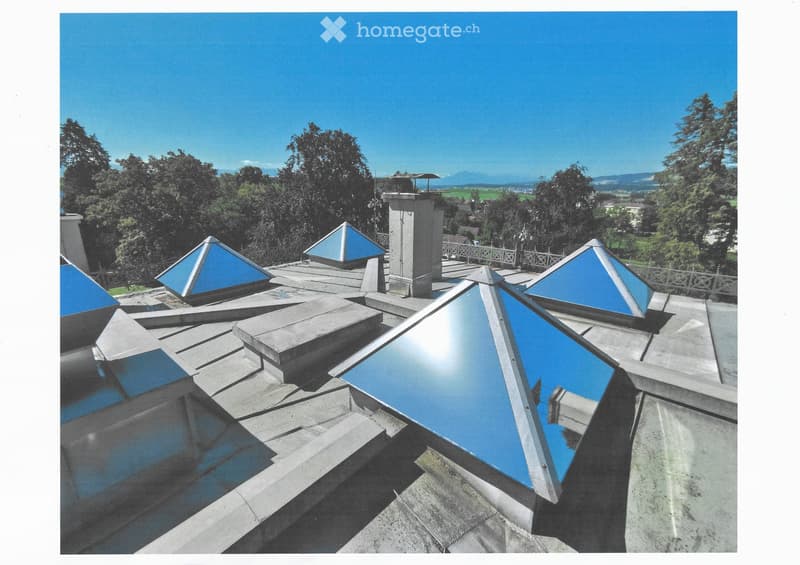 Roof with multiple skylights and a chimney, surrounded by trees and a clear blue sky.