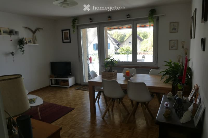Bright living and dining area with wooden flooring, large windows, and a sliding glass door leading to a balcony. Features a dining table with chairs, a television on a stand, a table lamp, and decorative plants.