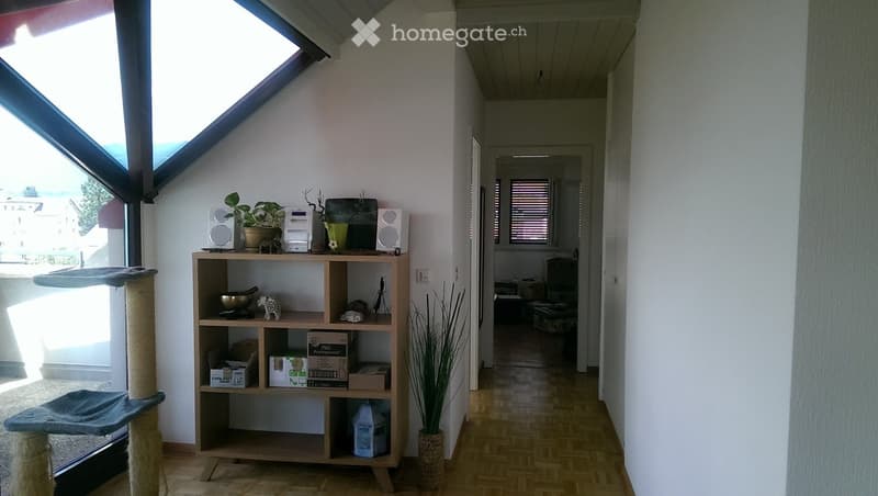A well-lit room with a cat tree, a wooden shelf holding various items including speakers, a plant, and a radiator, with a hallway leading to another room.
