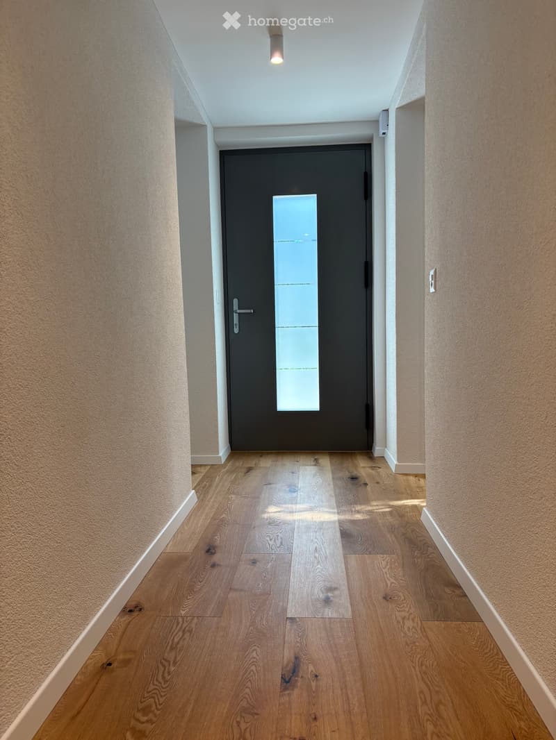 Modern hallway with wooden flooring, light-colored walls, and a central dark door with a frosted glass panel.