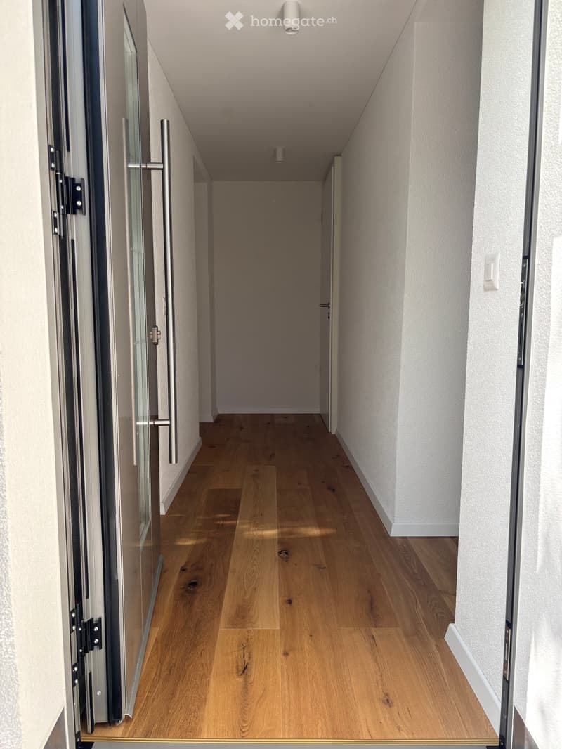 Modern hallway with light wooden flooring, white walls, and a glass door with metal frame on the left side.