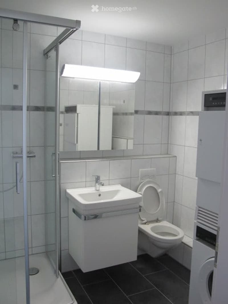 Modern bathroom with white tiles, a sink, toilet, mirror, and a glass-enclosed shower. A washing machine is visible in the corner.
